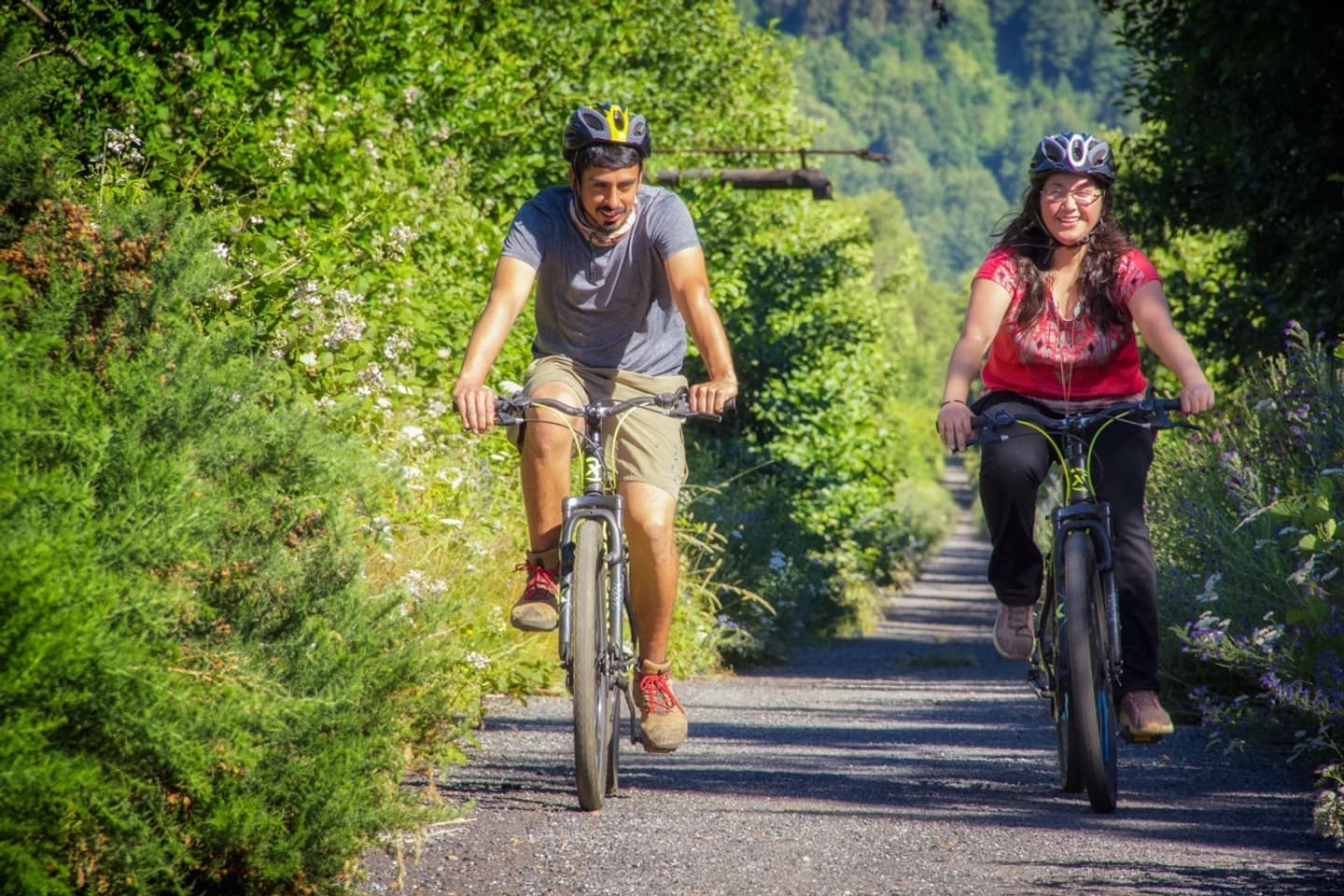 Ciclovía Andina: Pedaleando entre Túneles, Historia y Paisajes de la Araucanía