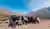 Sacred Valley of the Incas Tour from Cusco with Buffet Lunch