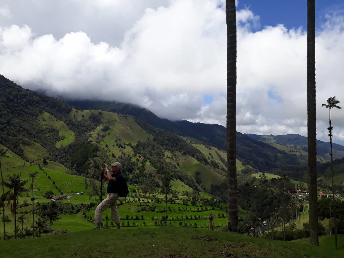 Tour privado bosque de palmas de cera y miradores