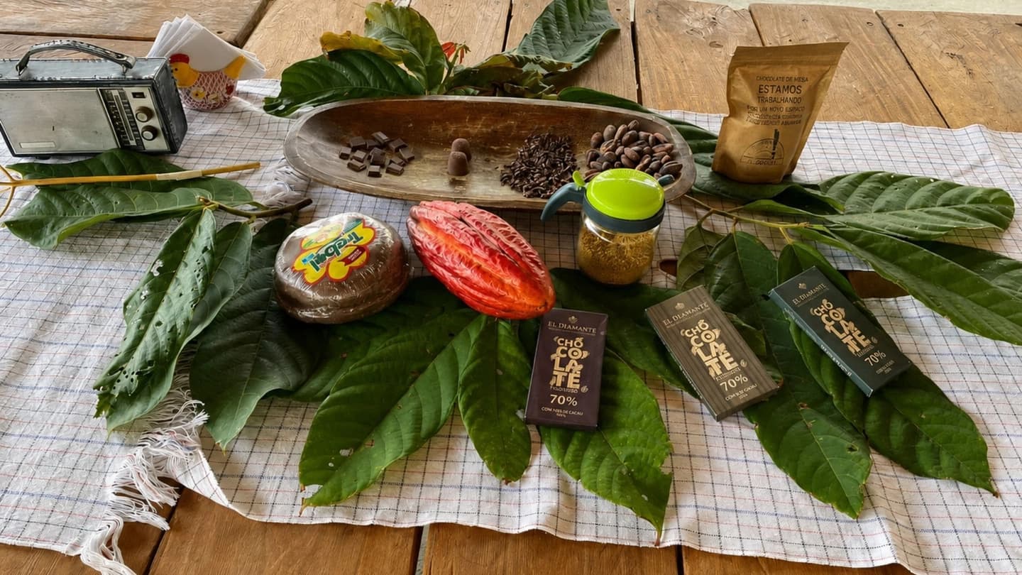 Tour del cacao y chocolate en Quimbaya