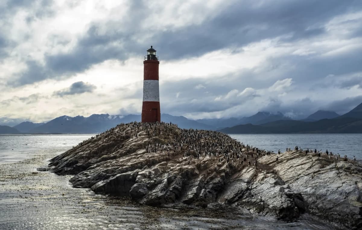 Excursión al PN y Navegación en Canal Beagle