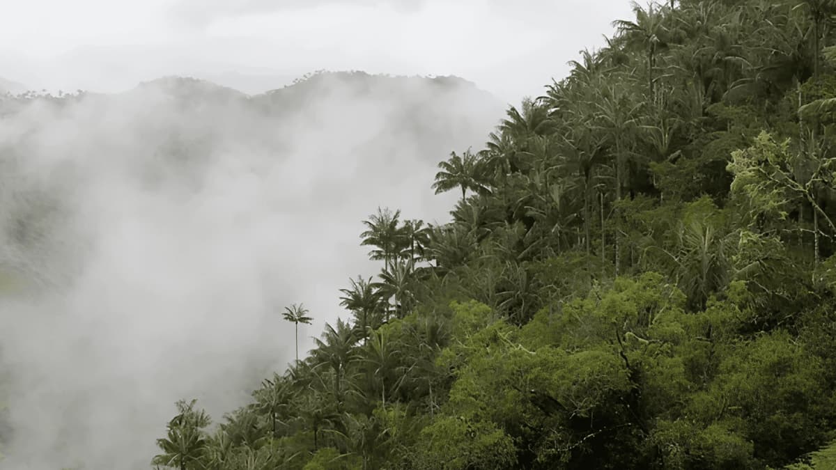 Excursión Ibagué Natural en Ibagué Colombia