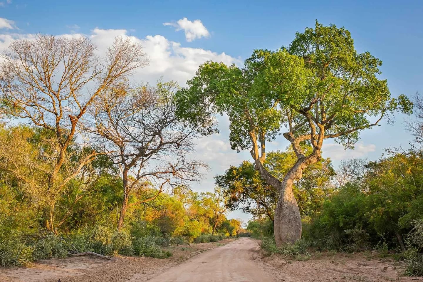 Excursión Ruta Qom por el Impenetrable Chaqueño