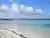 Tour por las mejores playas de Aruba con Snorkeling