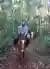 Cabalgata por la Selva en Iguazú de 1 hora