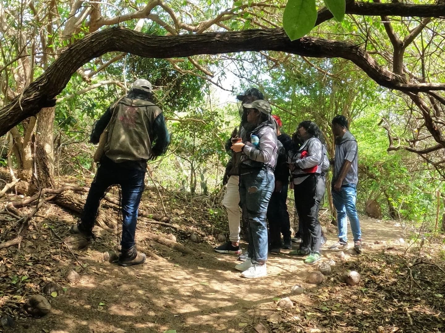Tour de Restauración Ecológica en Manglar y Bosque Seco Tropical desde Barranquilla