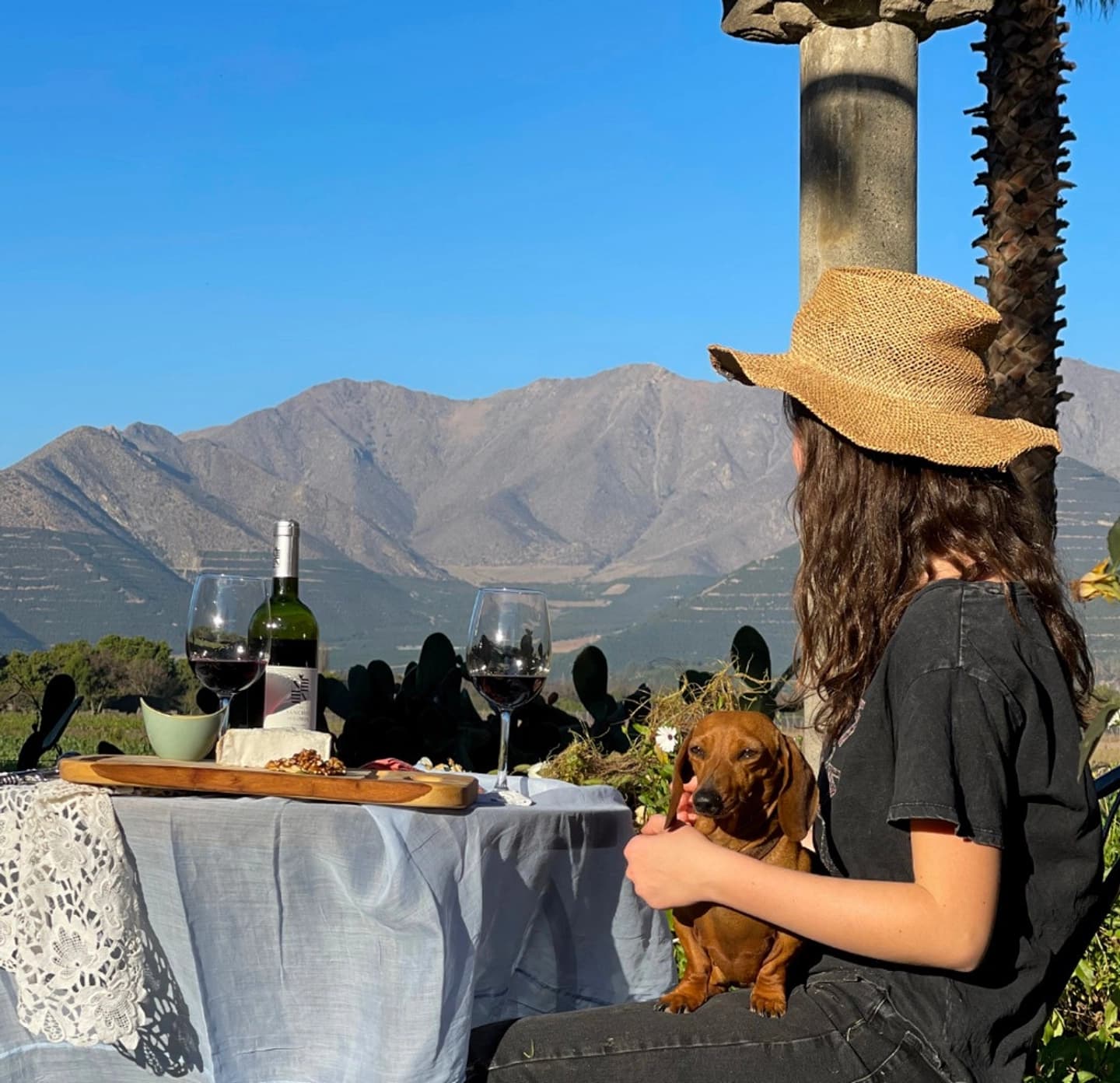 Full Tour Don Enrique: Historia y Vino en Viña Sanchez De Loria