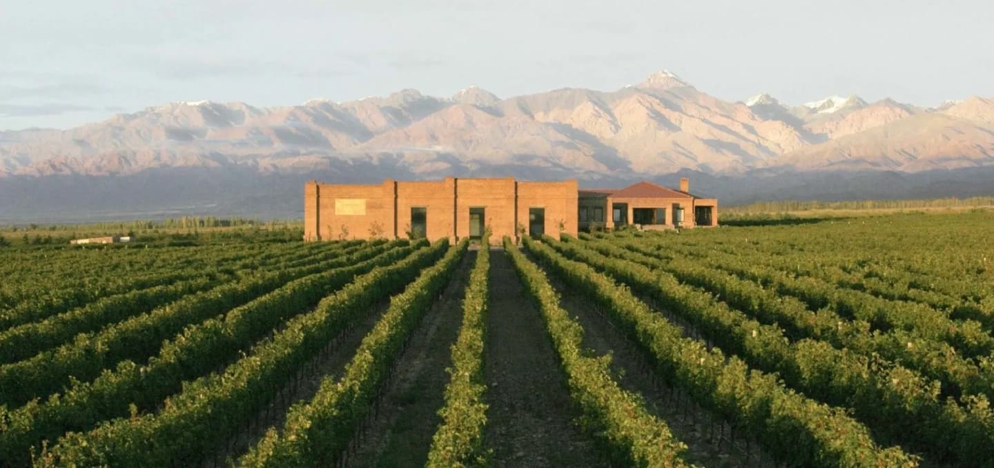 Excursión y Experiencia Vitivinícola Valle de Uco