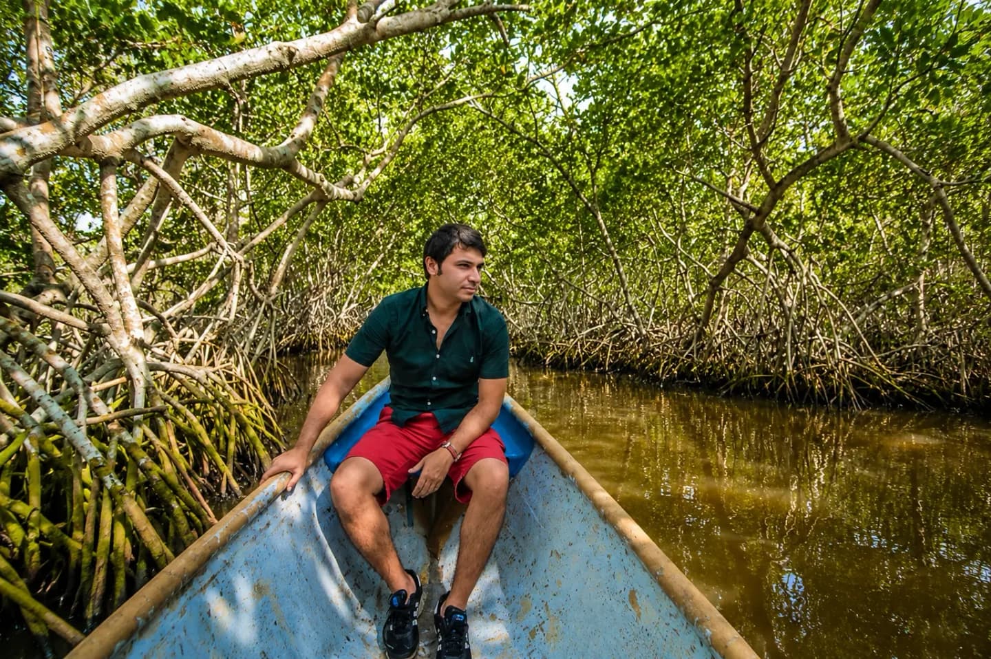 Tour por los manglares de La Boquilla con almuerzo desde Cartagena