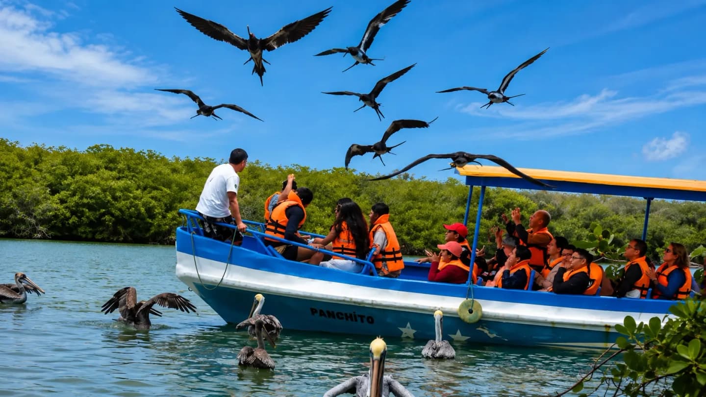 Tour a los Manglares de Puerto Pizarro desde Máncora