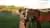 Horseback Riding at Campo de Caballos in Chaco