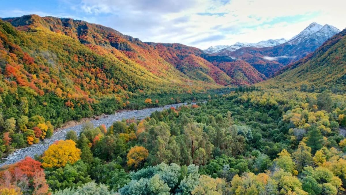 Camping La Lorera en el Parque Tricahue: Naturaleza y Relajo