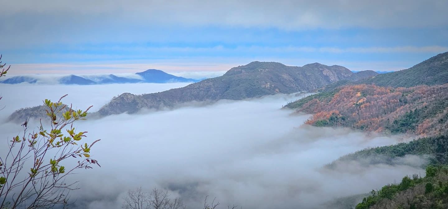 Trekking Nidos de Piedras: Naturaleza y Aventura en Colchagua