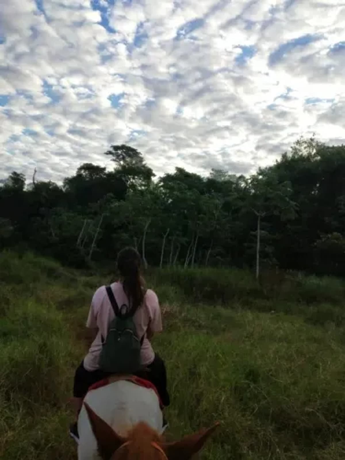 Cabalgata por la Selva en Iguazú de 2 horas