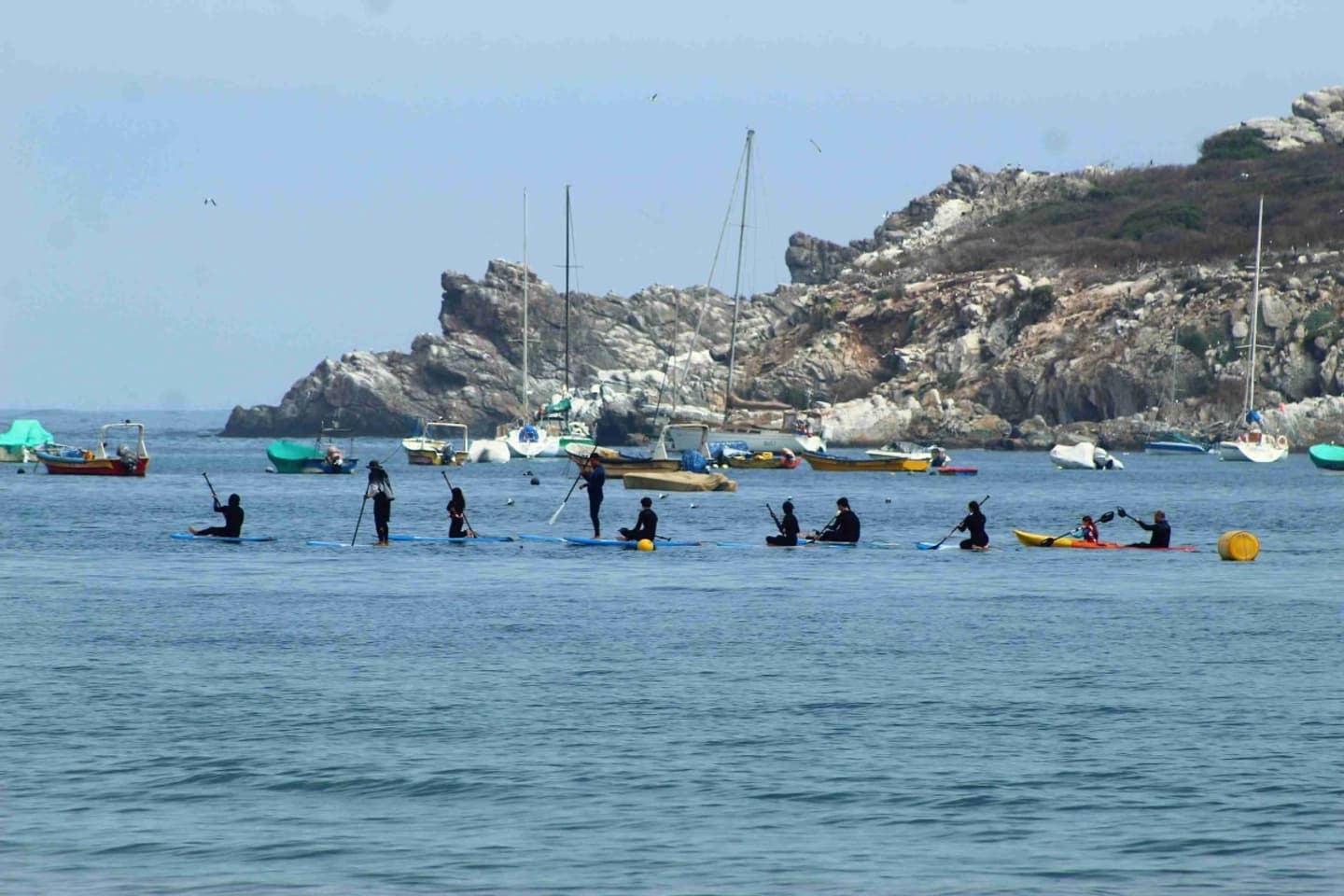 Stand Up Paddle en Pichidangui: Aventura a la Isla Locos