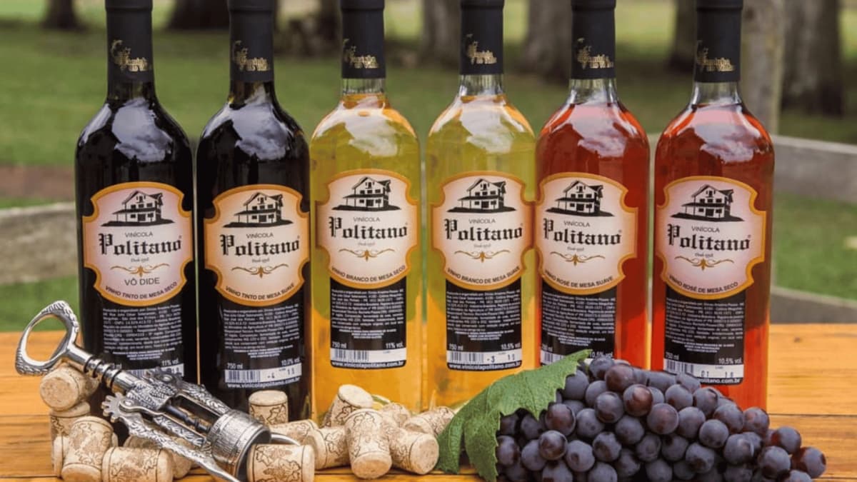Excursión por la Ruta del Vino de São José dos Pinhais