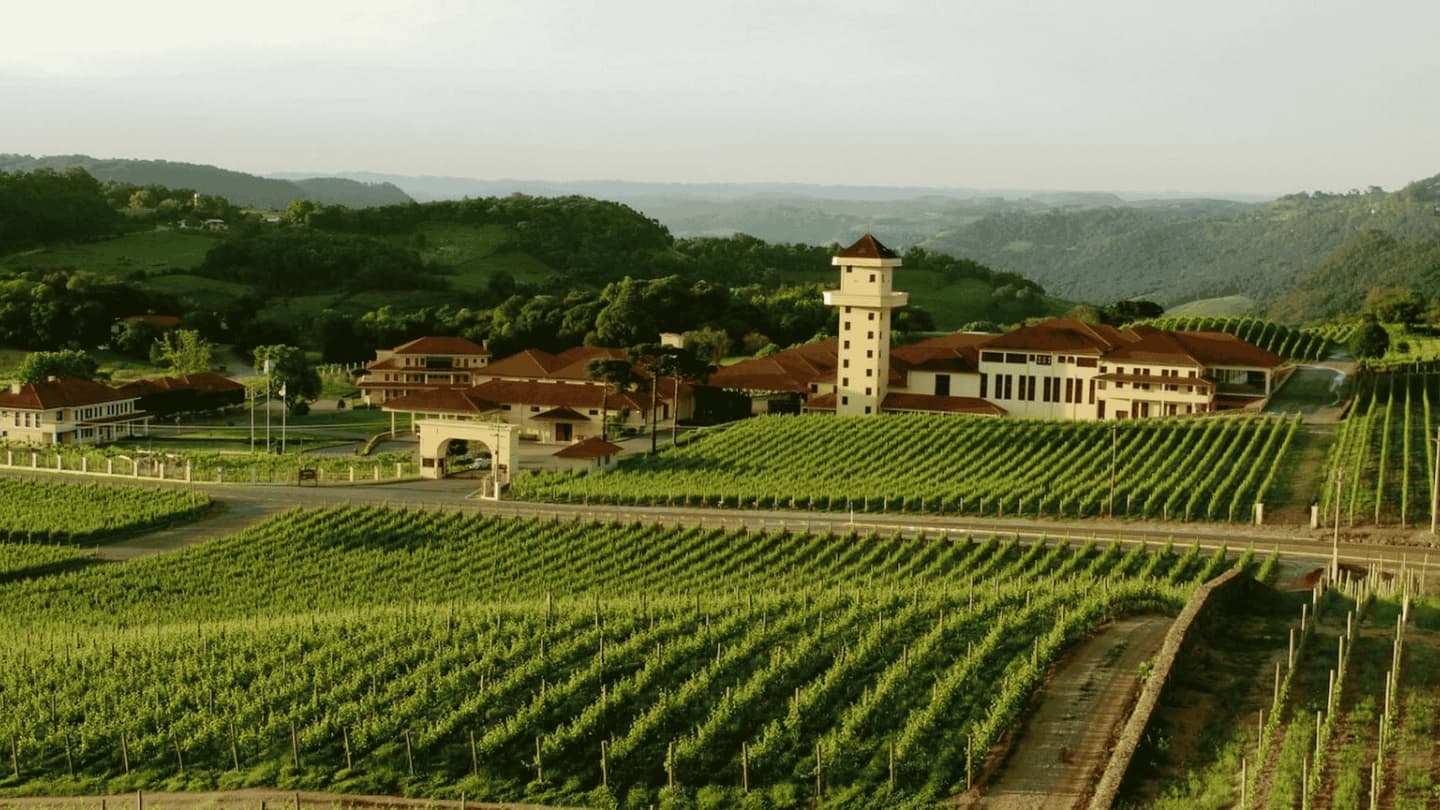 Tour de la uva y el vino con Tren de Vapor y Epopeya Italiana en Serra Gaúcha