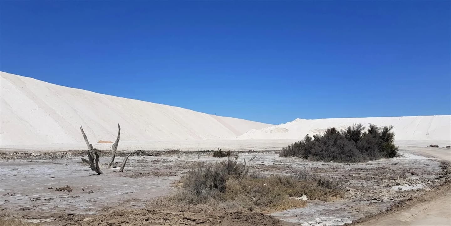 Excursión a Termas y Salinas de Bebedero