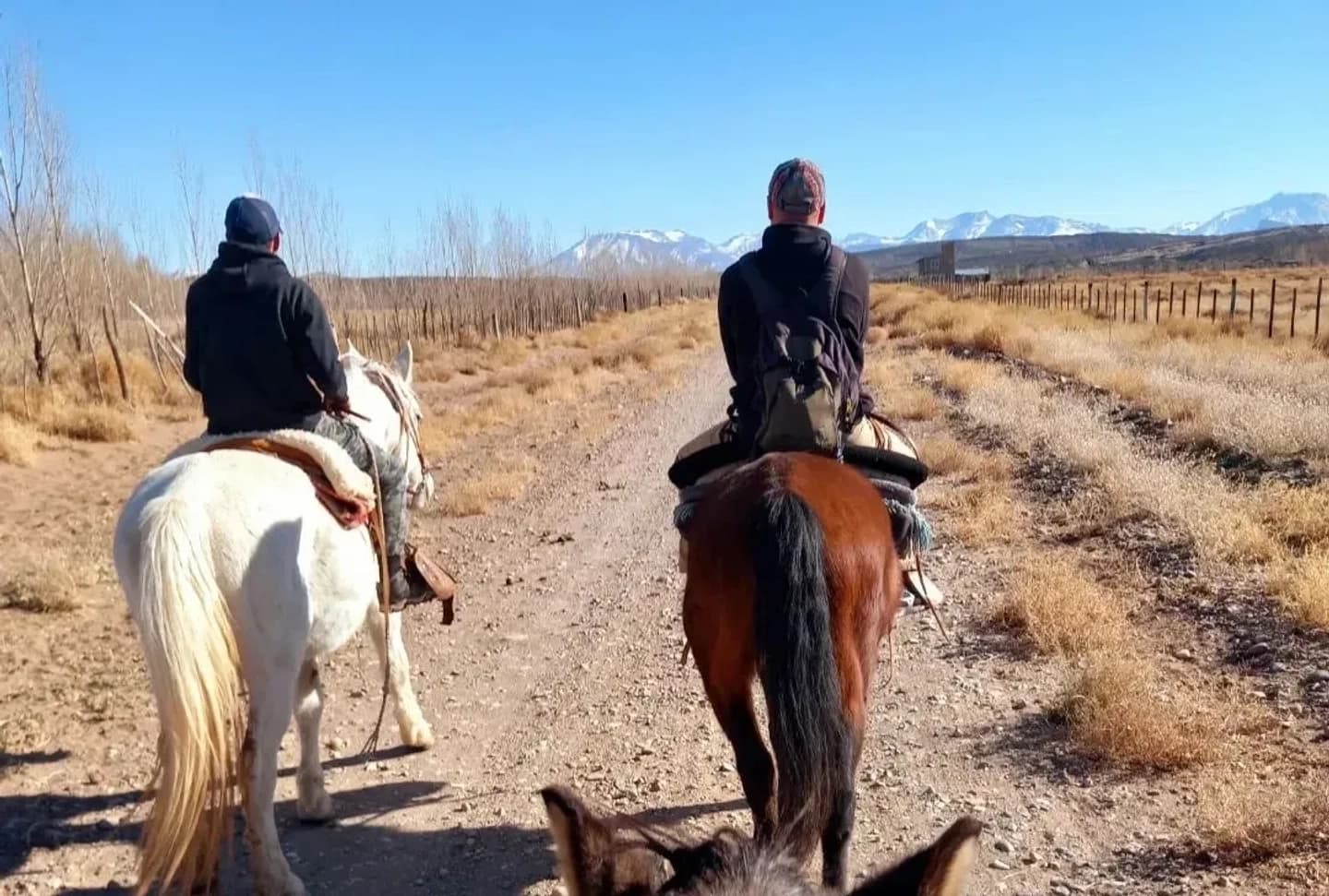Cabalgata Nocturna Inclusiva por las Bardas en Colonia Pehuenche