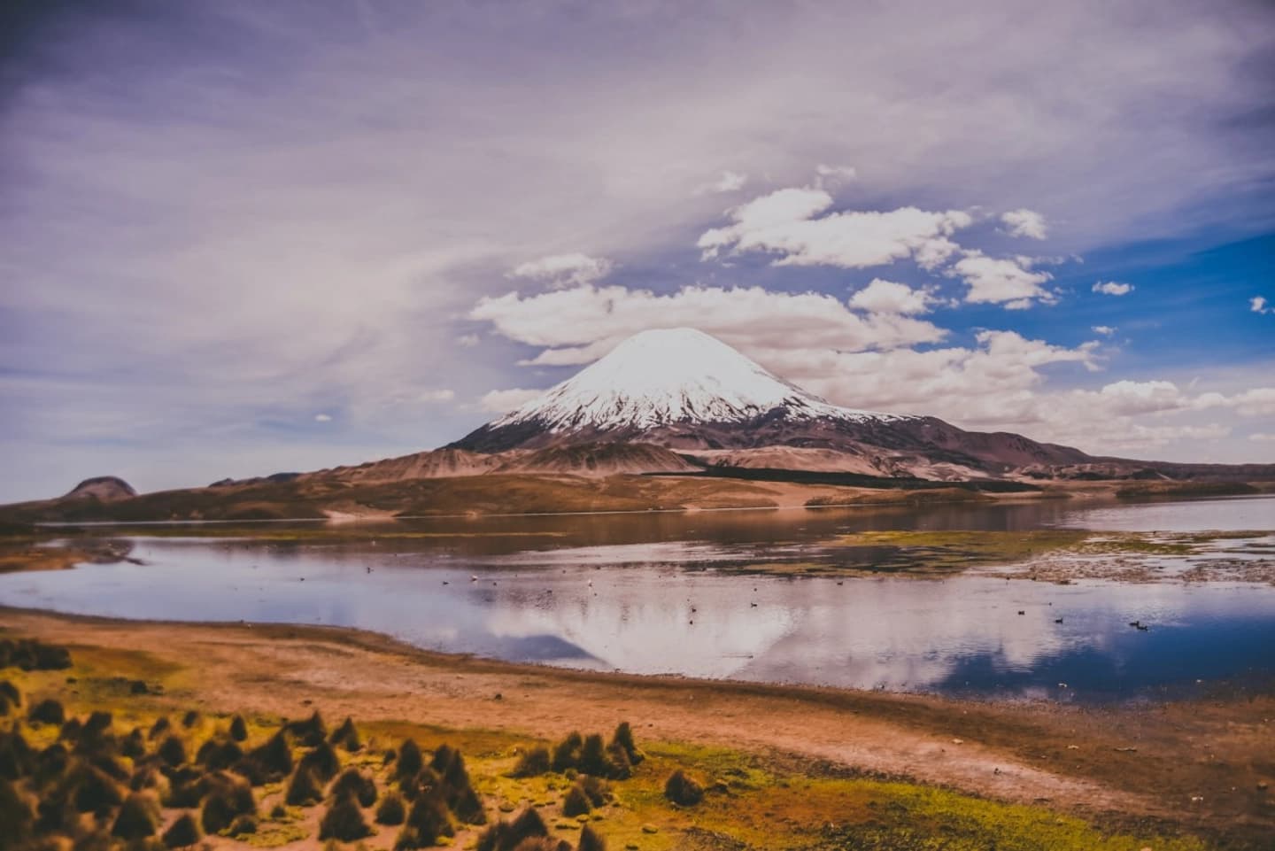 Ruta Andina desde Putre: Tesoros del Altiplano y el Lago Chungará