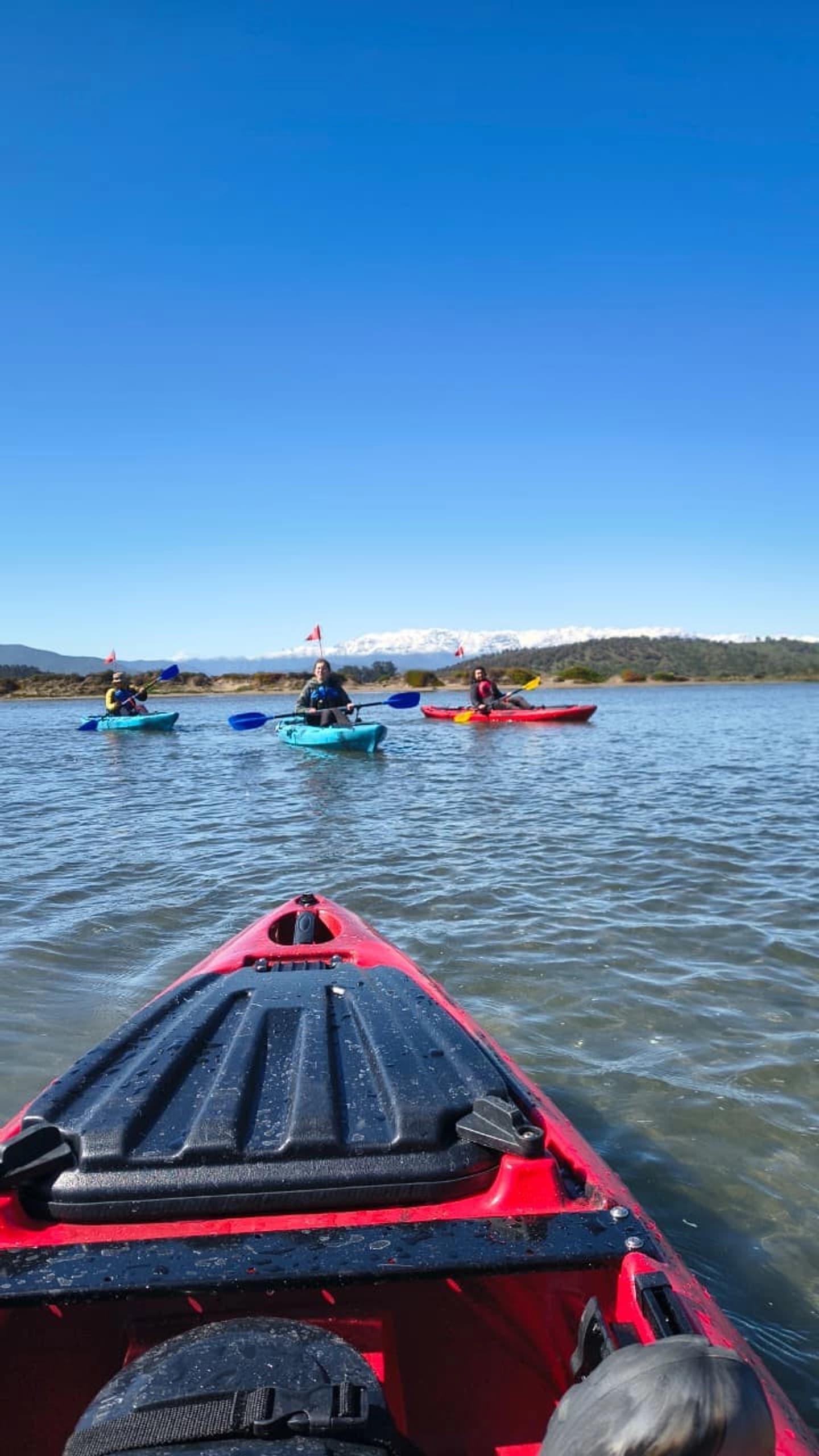 Kayak Tour in Pullally: Flora and Fauna