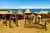 Tour Uros, Amantaní and Taquile Islands 2 Days 1 Night from Puno