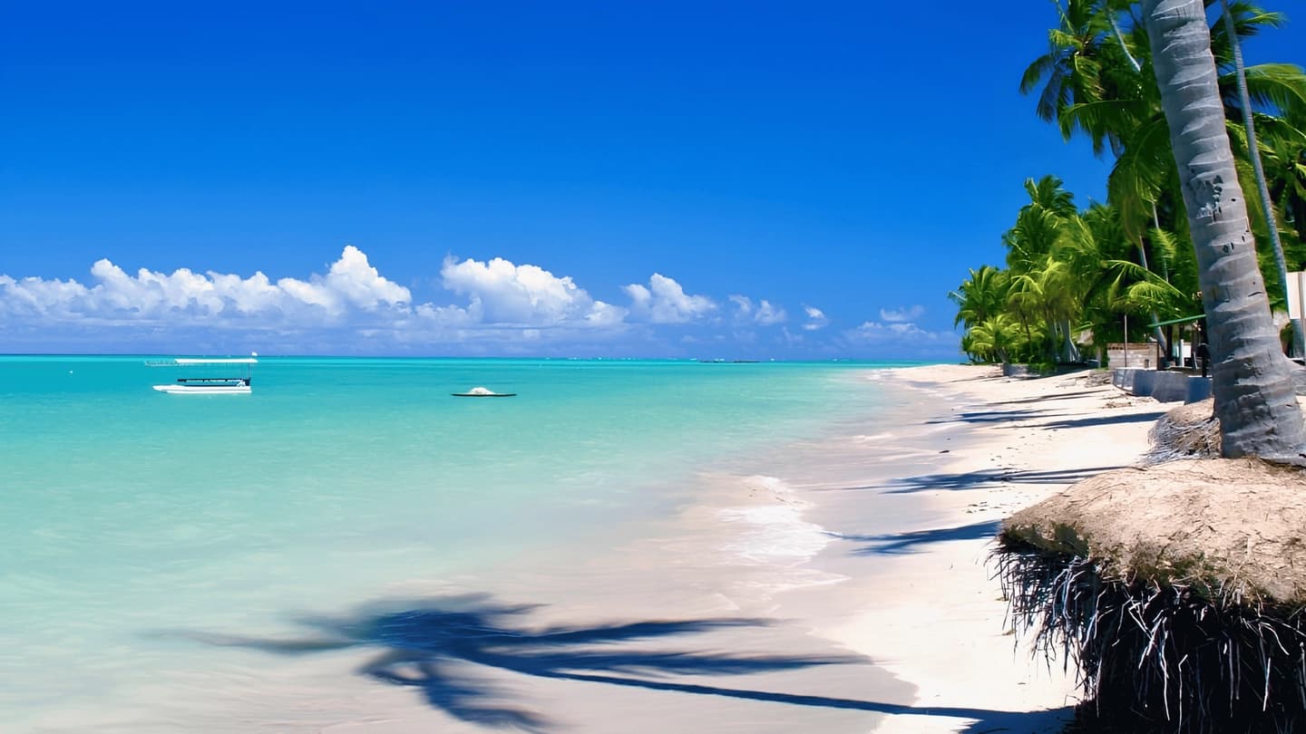 Excursión a Maragogi y Playa de Burgalhau en Alagoas