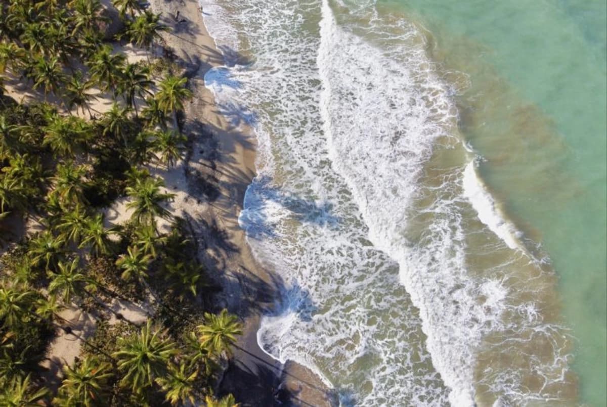 Tour a Palomino con Río y Playa desde Santa Marta