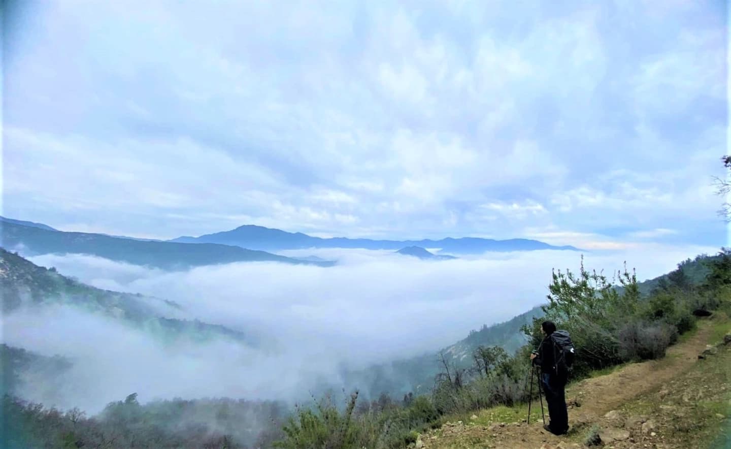 Trekking en el Parque Nacional La Campana: Sendero de Los Peumos