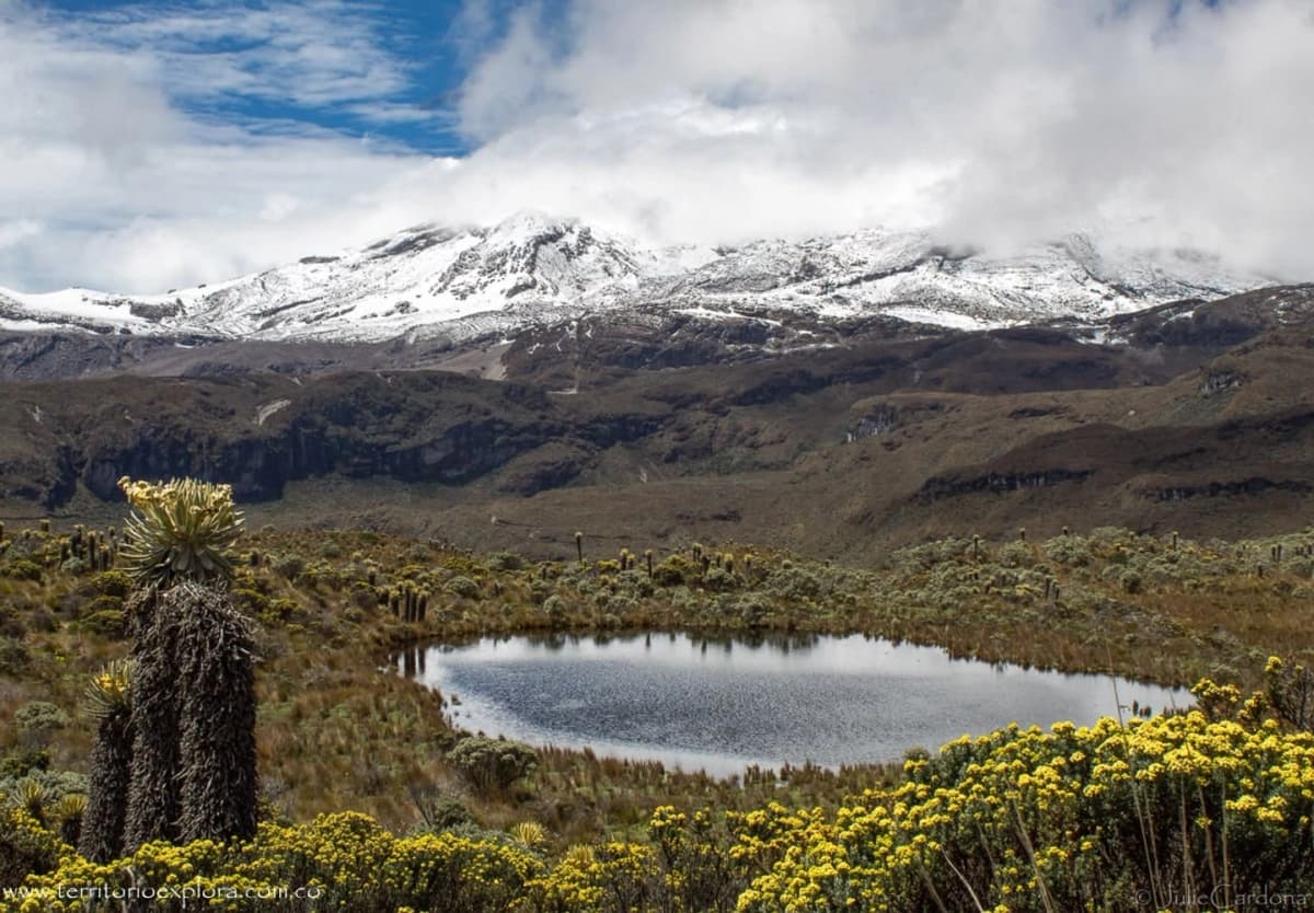 Tour al Nevado del Ruiz desde Manizales y Pereira con alimentación y entradas