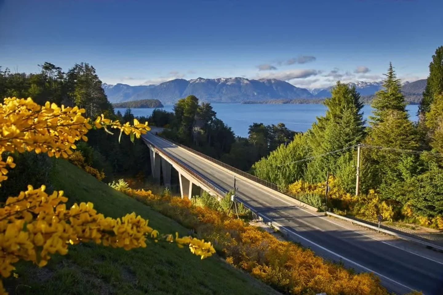 Excursión Ruta 7 lagos hasta San Martin de los Andes desde Bariloche