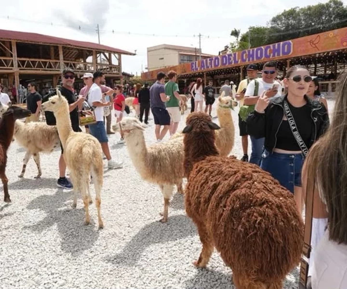 Tour a Guatapé con Alto del Chocho, Almuerzo Típico y Tuk Tuk desde Medellín