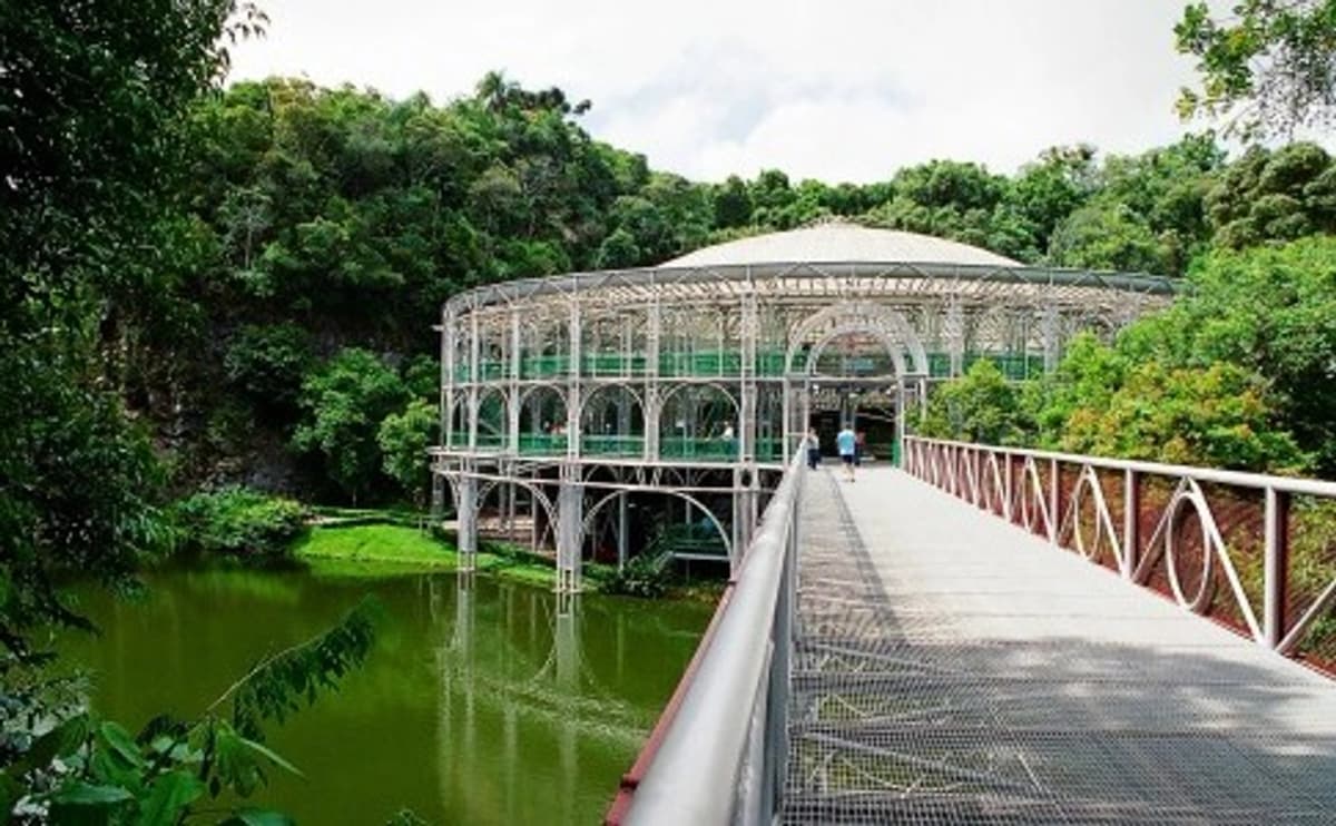 Tour panorámico por Curitiba con guía y entradas