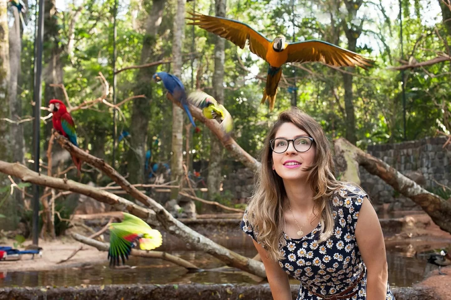 Excursión a Cataratas Lado Brasil y Visita a Parque de las Aves con entrada