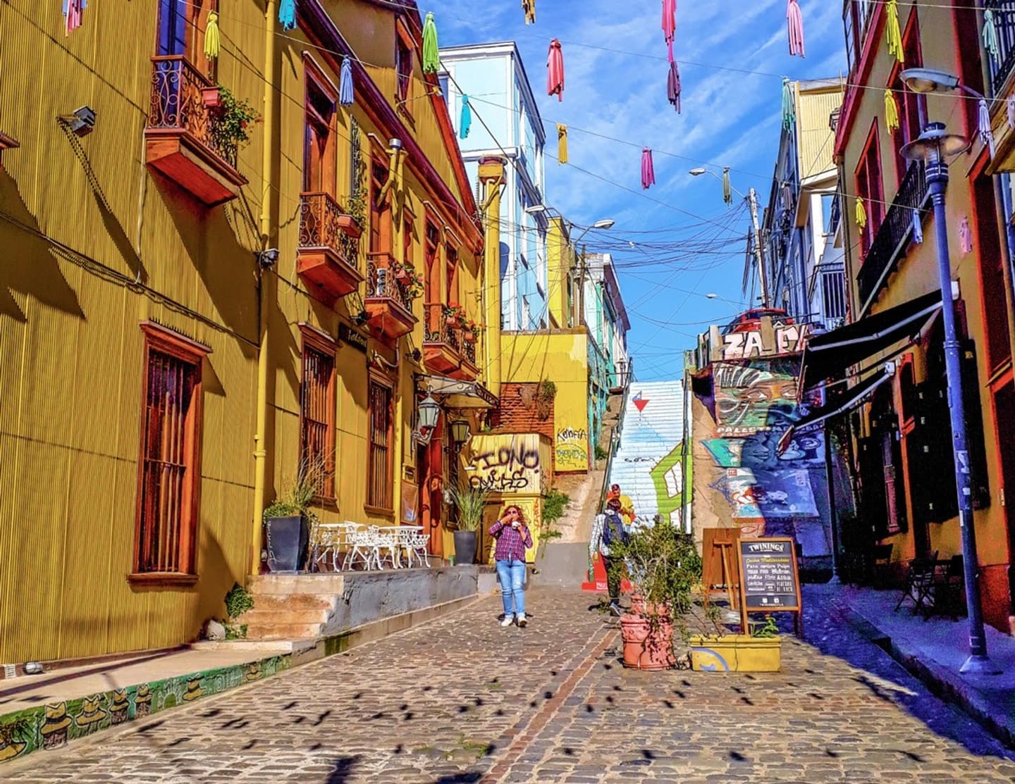 Tour Viña del Mar y Valparaíso desde Santiago