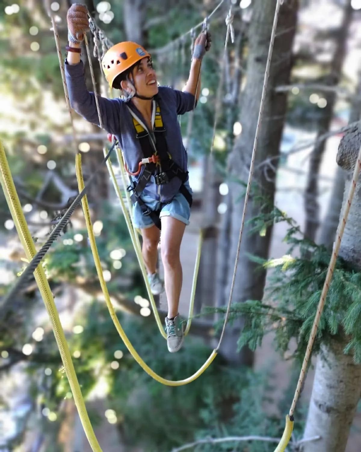 Euca Bariloche Parque Aéreo y Arborismo 5 Niveles