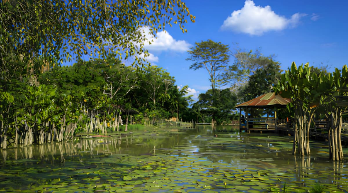 Tour Full Day de Fauna Amazónica desde Iquitos