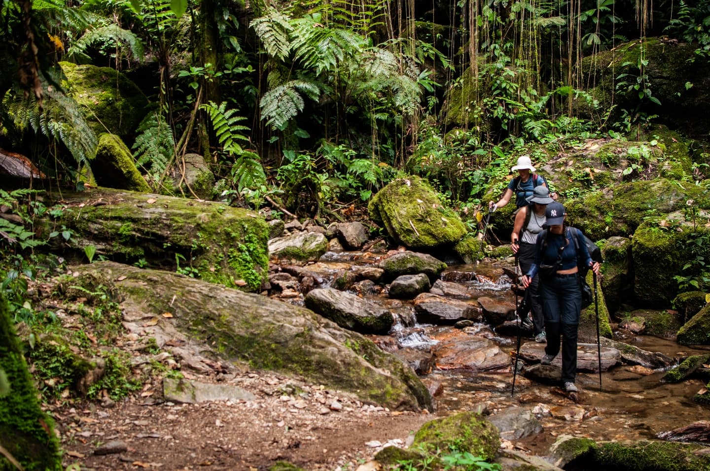 Trekking a Ciudad Perdida en la Sierra Nevada 5 días y 4 noches desde Santa Marta