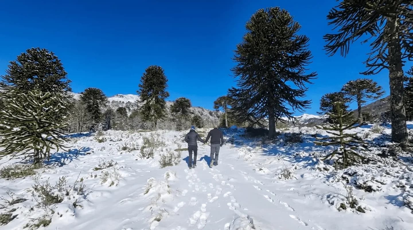 Aventura 4x4 en la Cordillera de Nahuelbuta: Del Pacífico a los Andes