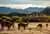 Trekking en el Parque Nacional Patagonia: recorre el Valle Chacabuco