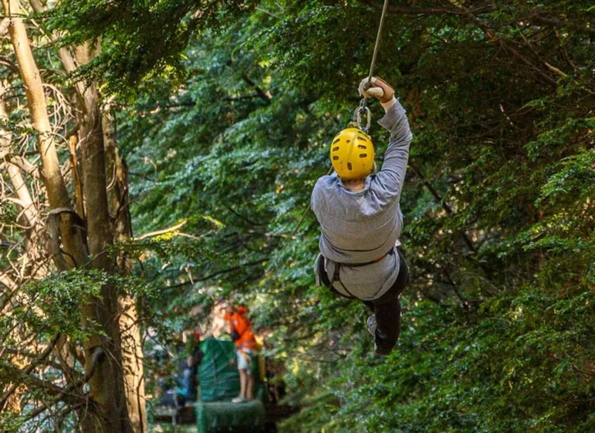 Volá en el Canopy Adventure Tour Bariloche