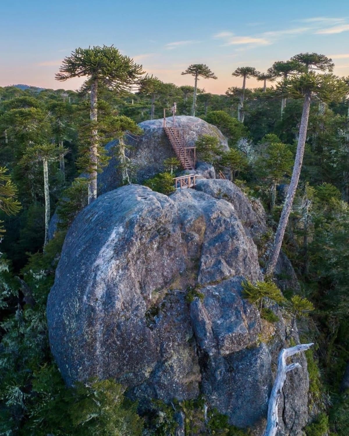 Aventura 4x4 en la Cordillera de Nahuelbuta: Del Pacífico a los Andes