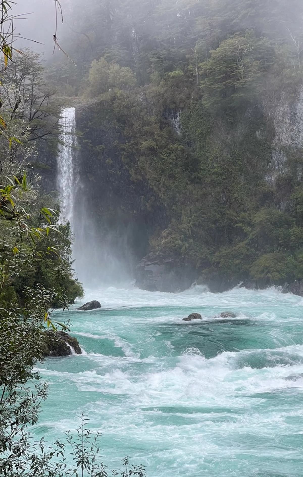 Expedición Full Day a Huilo Huilo desde Valdivia: Naturaleza y Cascadas