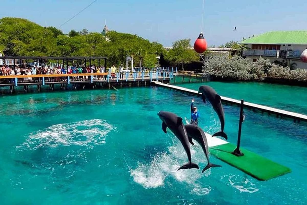 Cartagena: Tour básico por las islas, visita el acuario y almuerza en Barú por mar