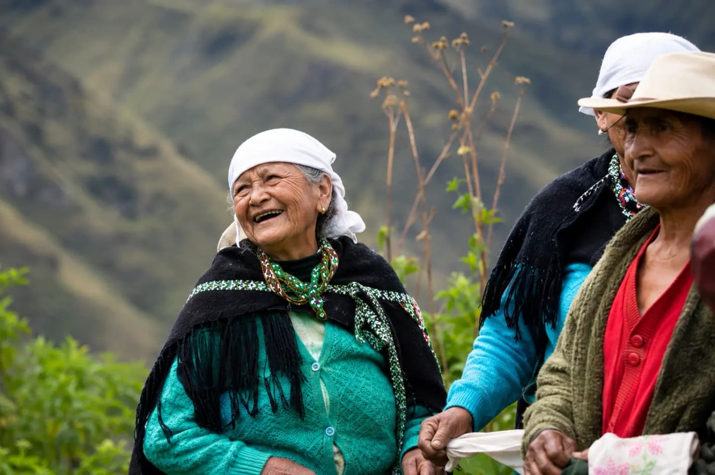 Ruta cultural de la Minga, música y danza en Nuevo Huacas desde Chachapoyas