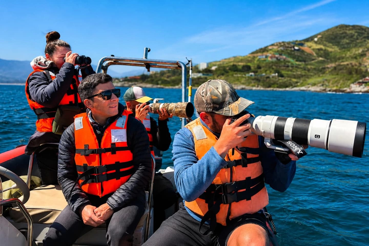 Papudo: Explora la Costa en Zodiac privado