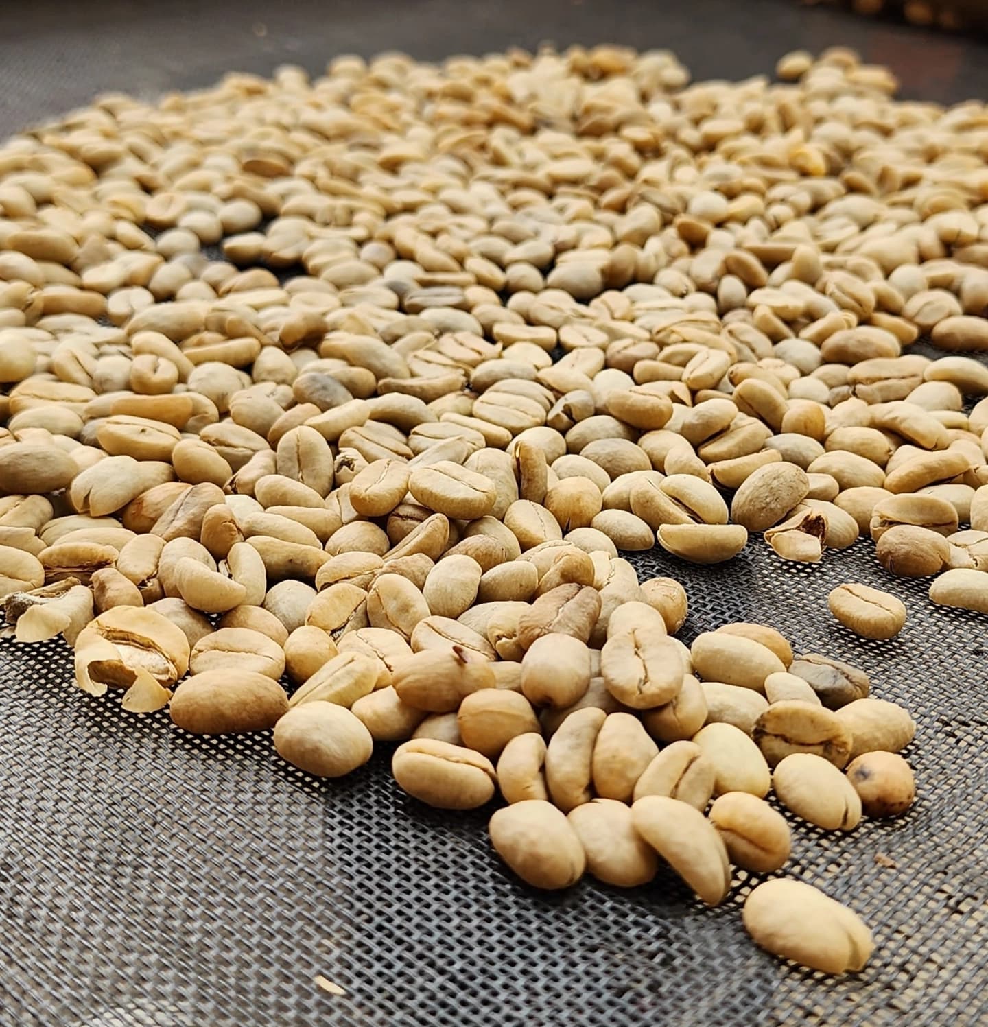 Tour del Café en finca tradicional del Quindío en Colombia