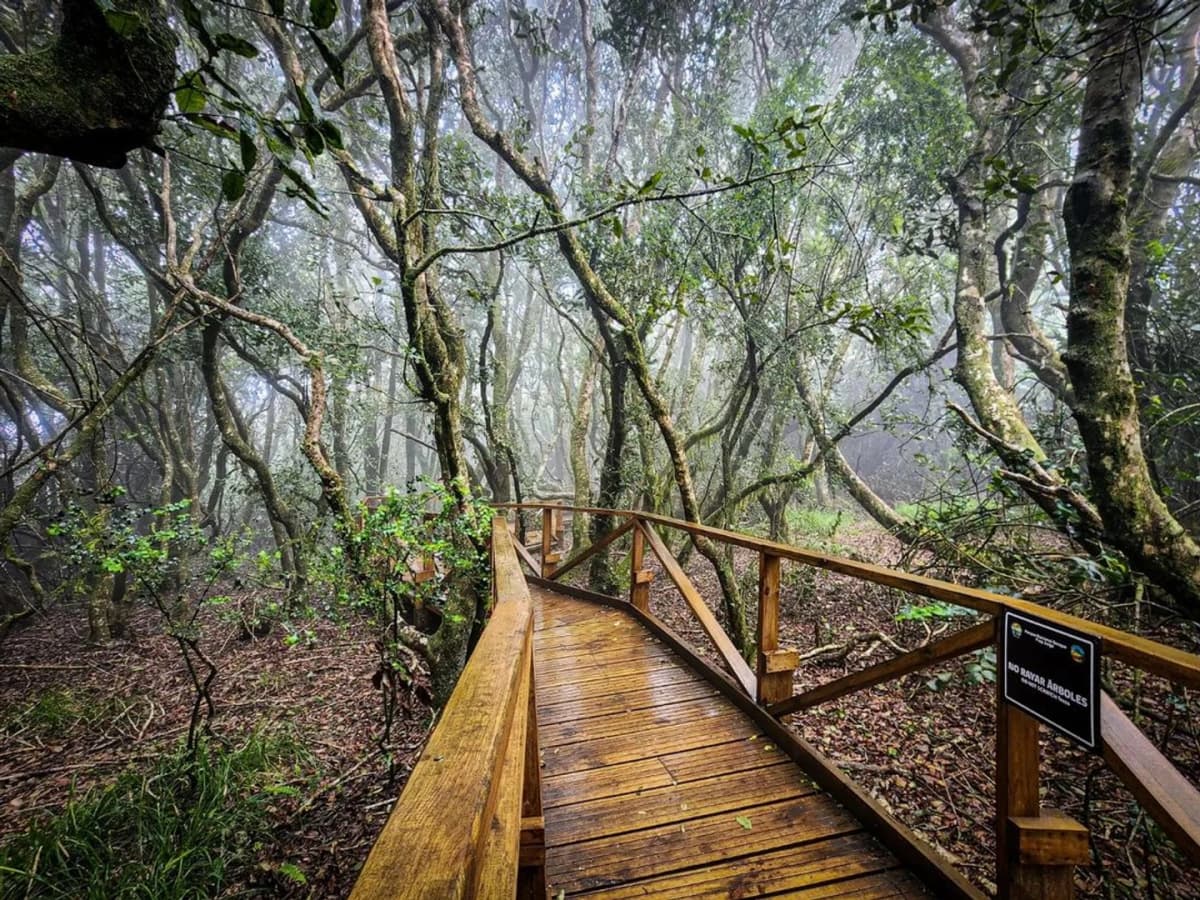 Entrada Parque Nacional Bosque Fray Jorge
