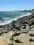 Tour por Viña del Mar y Valparaíso: Entre Playas y Cerros Icónicos