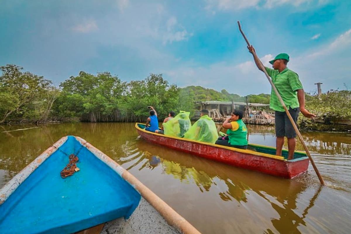 Tour por los Manglares de La Boquilla: Naturaleza y Cultura en Cartagena